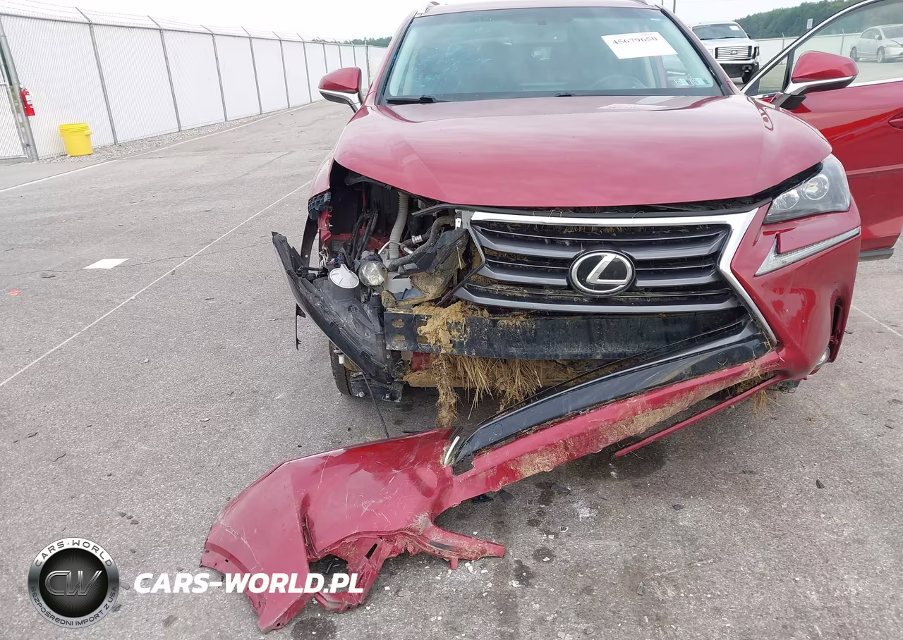 2017 Lexus Nx 200T VIN:JTJBARBZXH2139426 - 6