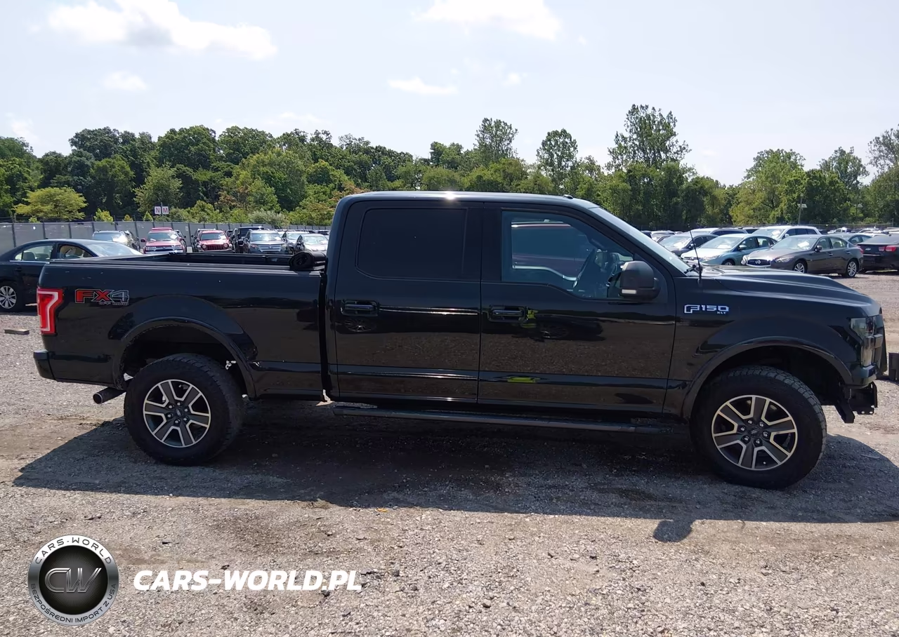 2015 Ford F-150 Xlt VIN:1FTFW1EF9FFC44635 - 13