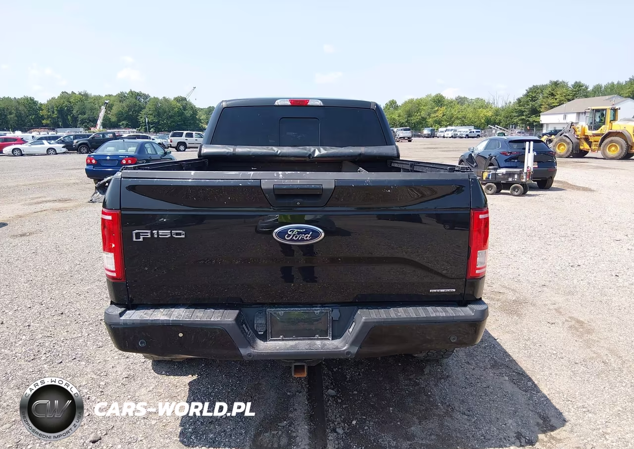 2015 Ford F-150 Xlt VIN:1FTFW1EF9FFC44635 - 16