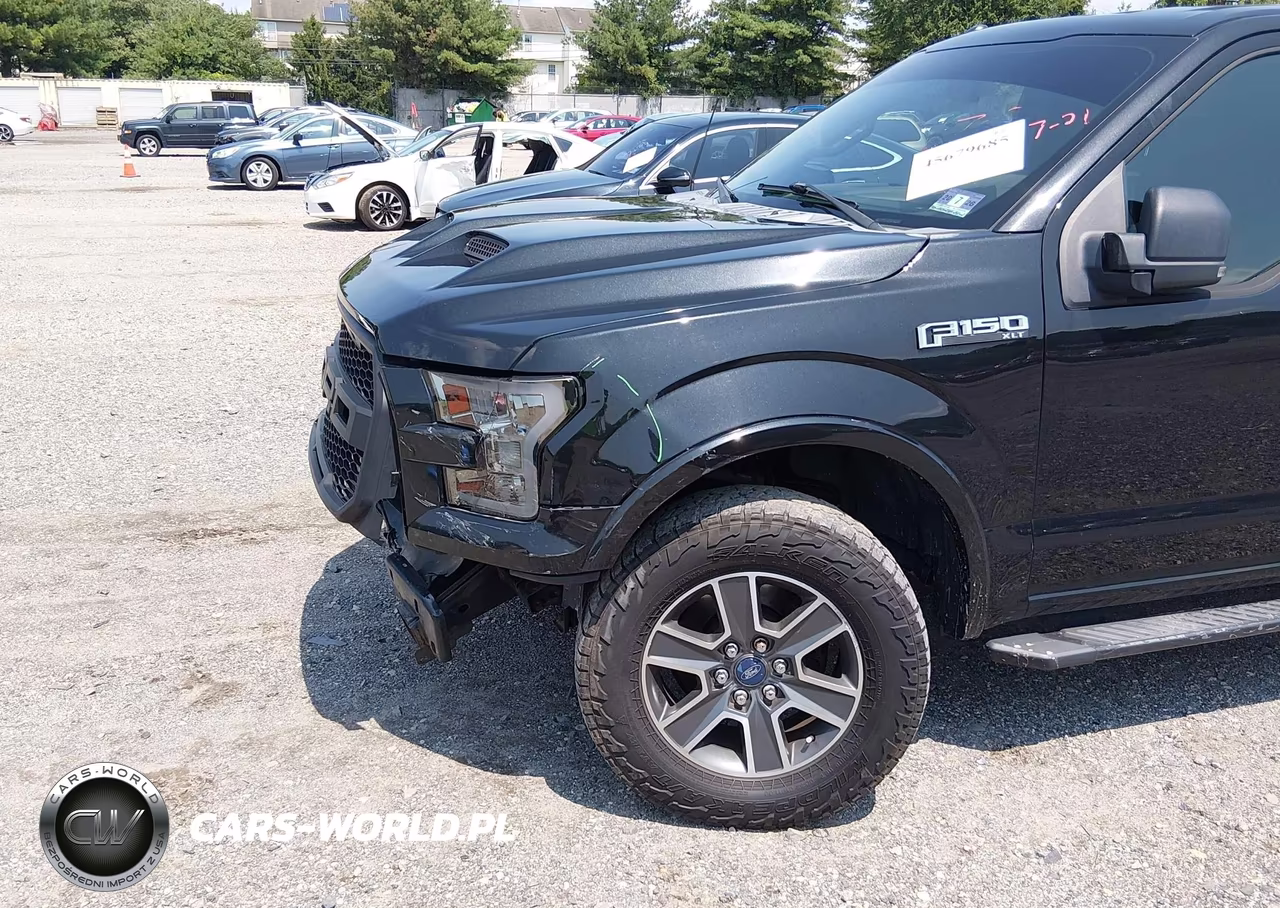 2015 Ford F-150 Xlt VIN:1FTFW1EF9FFC44635 - 17