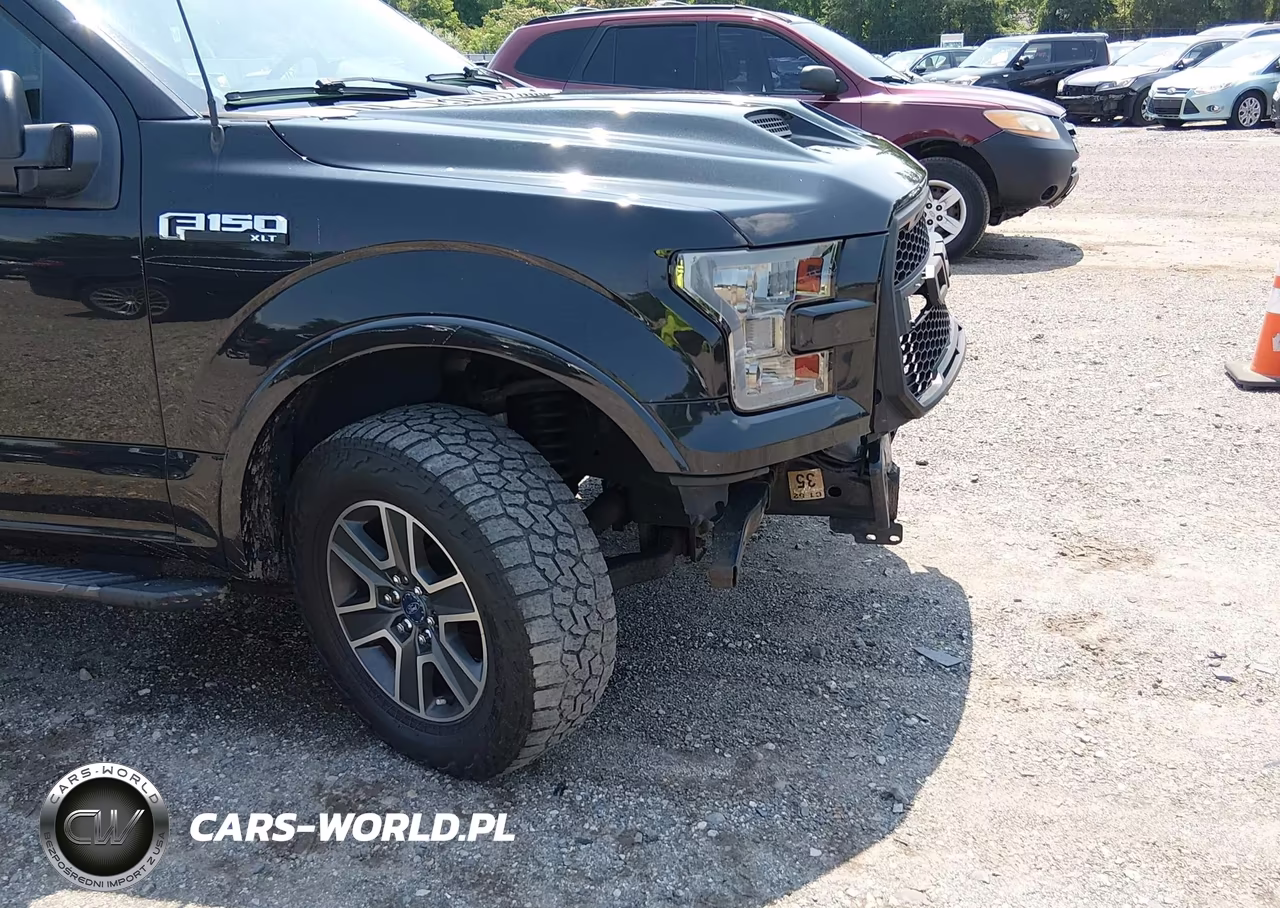 2015 Ford F-150 Xlt VIN:1FTFW1EF9FFC44635 - 18