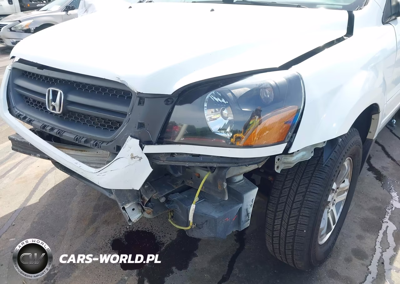 2005 Honda Pilot Ex-L VIN:2HKYF18595H531909 - 18