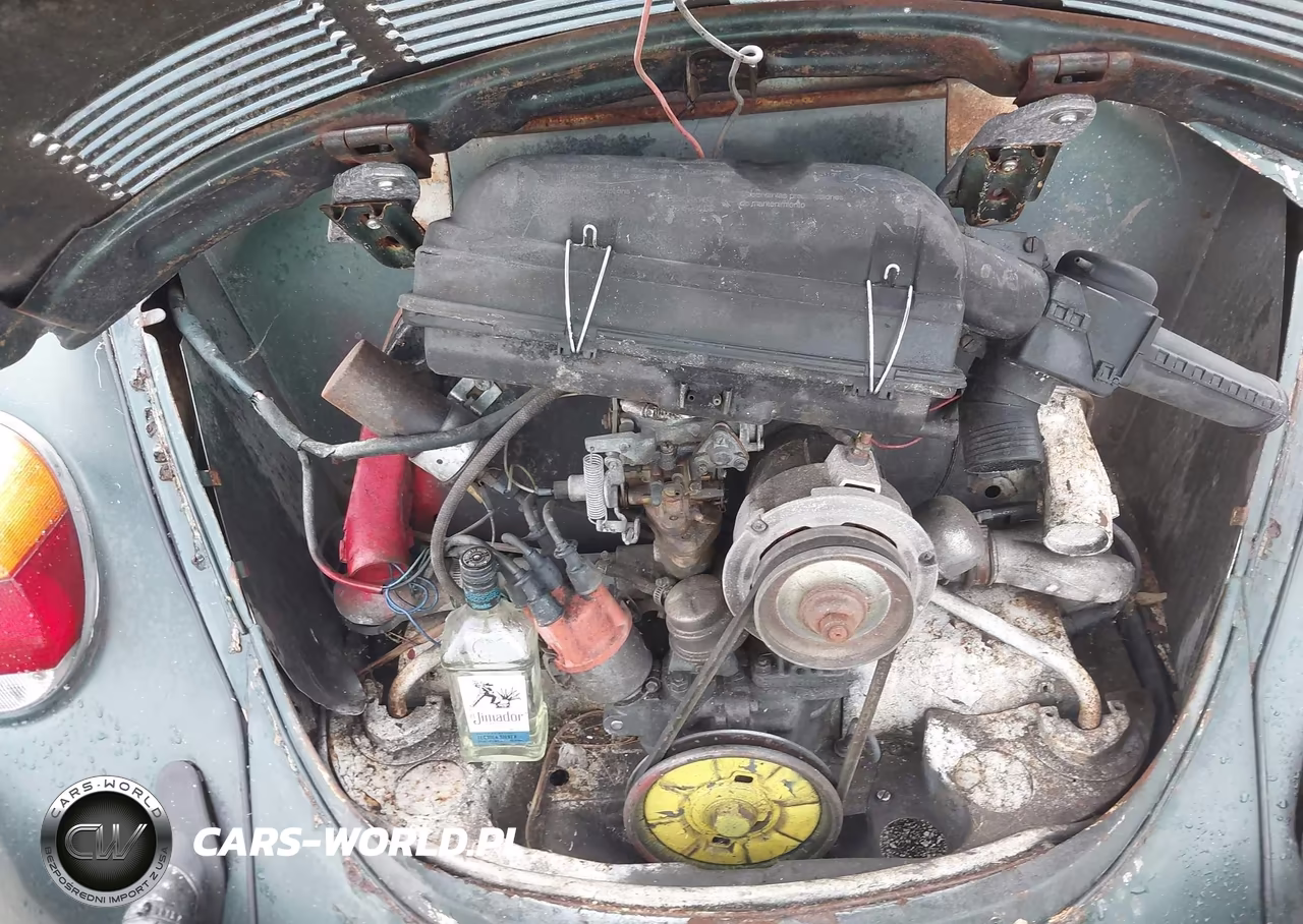 1970 Volkswagen New Beetle VIN:1342441898 - 10