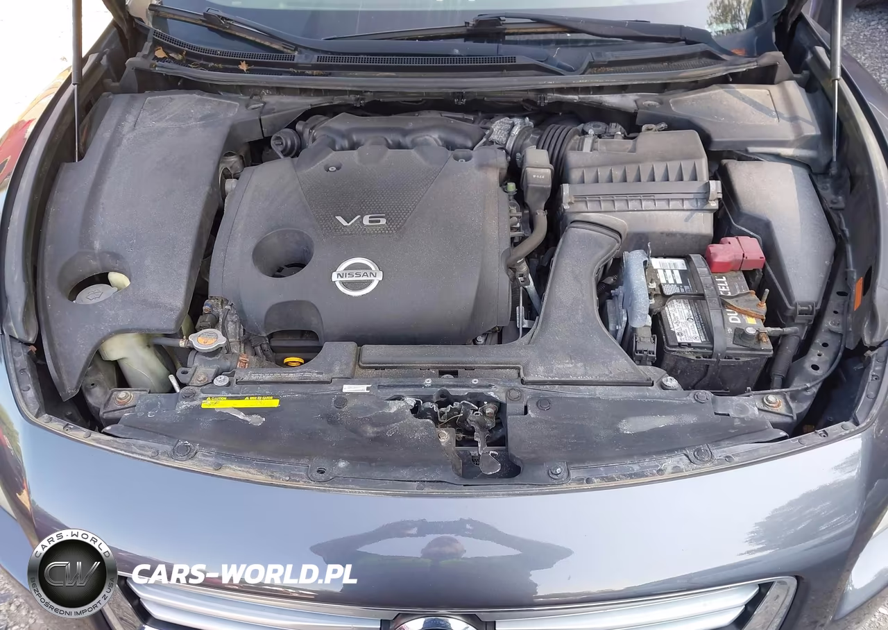 2013 Nissan Maxima 3.5 Sv VIN:1N4AA5AP9DC817844 - 10