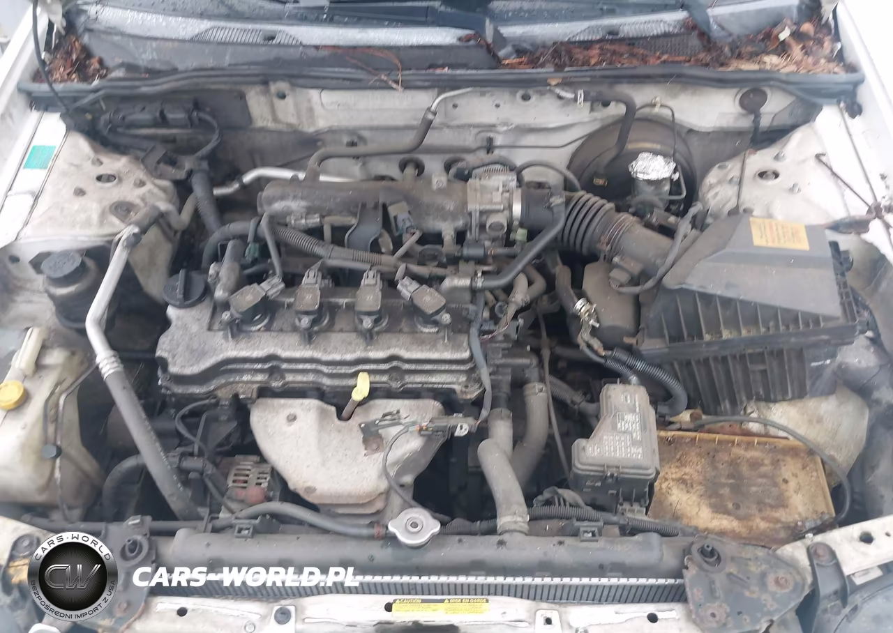 2006 Nissan Sentra 1.8S VIN:3N1CB51D46L558017 - 10