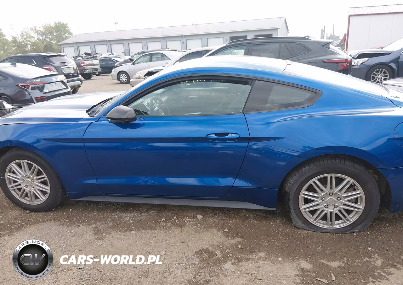 2017 Ford Mustang V6 VIN:1FA6P8AM0H5276785 - 13