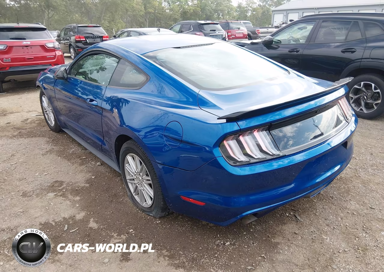 2017 Ford Mustang V6 VIN:1FA6P8AM0H5276785 - 3