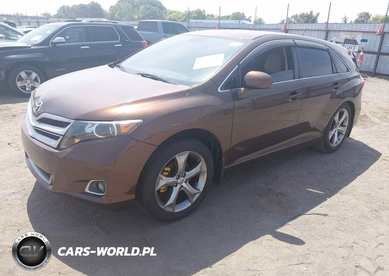 2009 Toyota Venza VIN:4T3ZE11A69U006027 - 2