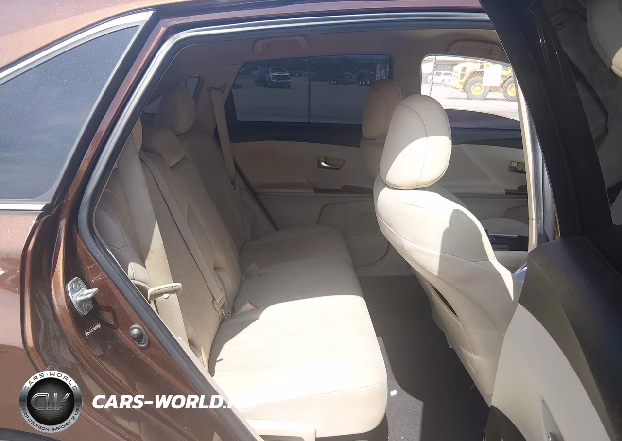 2009 Toyota Venza VIN:4T3ZE11A69U006027 - 8
