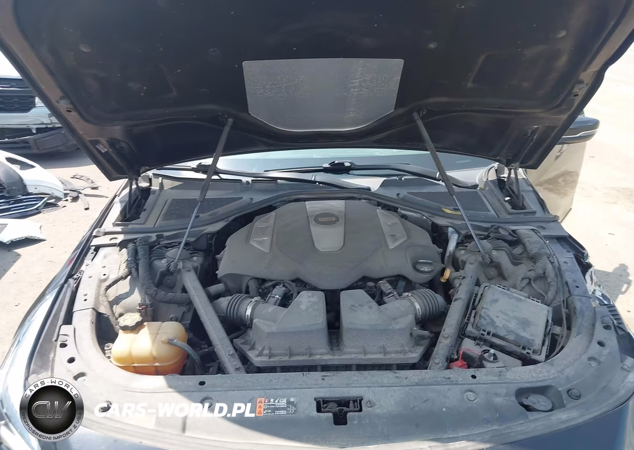 2019 Cadillac Ct6 Sport VIN:1G6KN5R66KU143306 - 10