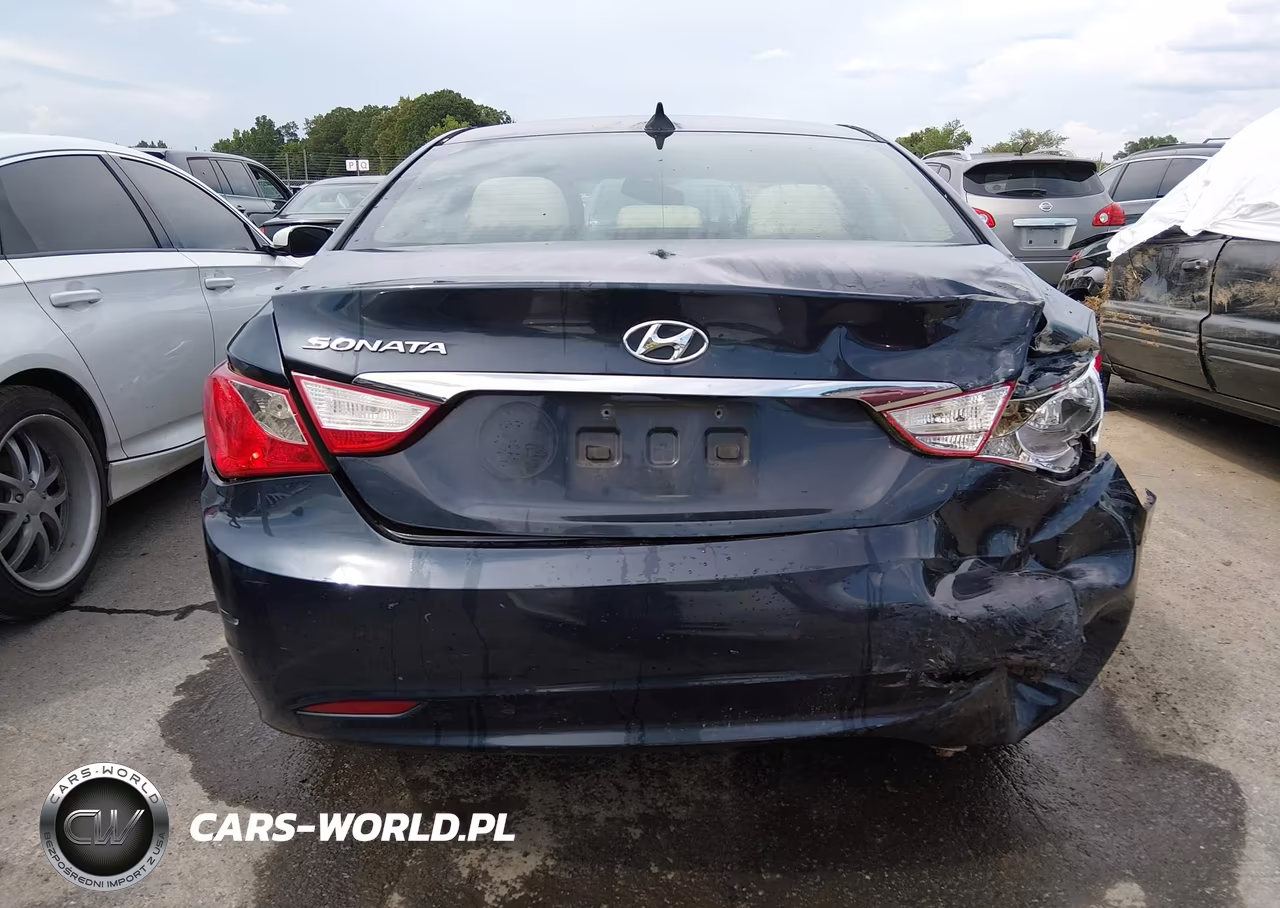 2013 Hyundai Sonata Gls VIN:5NPEB4AC7DH543497 - 17