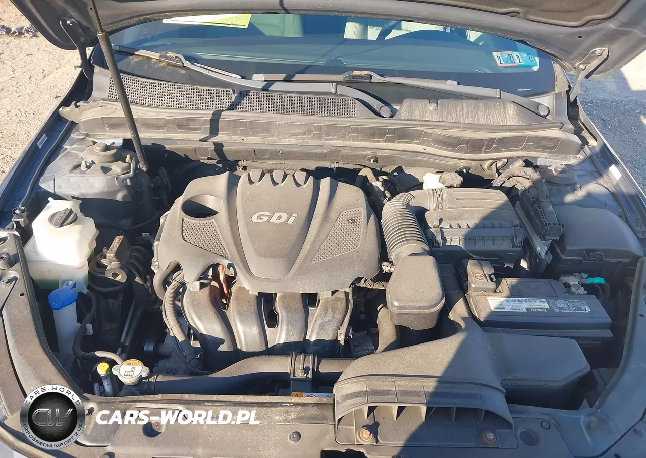 2015 Kia Optima Ex VIN:5XXGN4A74FG377456 - 10
