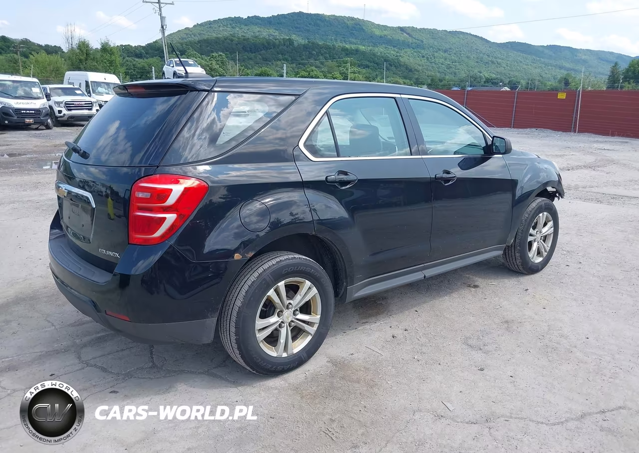 2016 Chevrolet Equinox Ls VIN:2GNFLEEK2G6162407 - 4