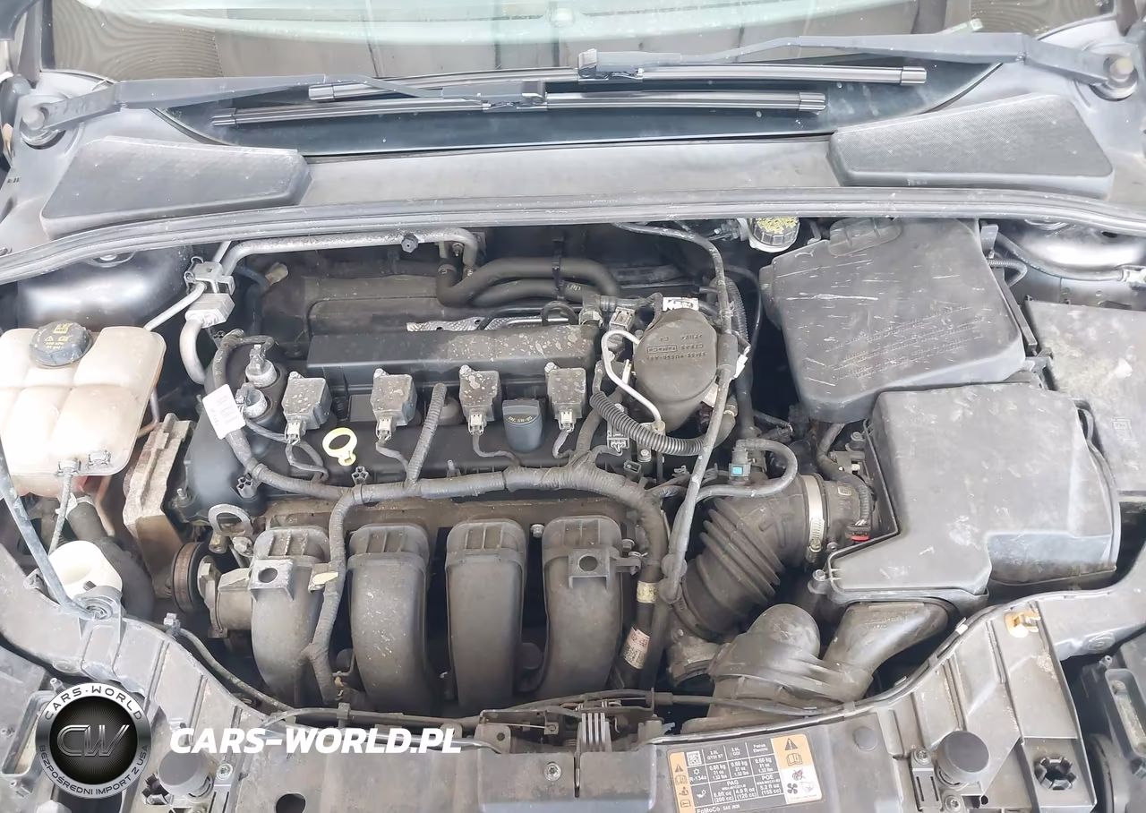 2016 Ford Focus Se VIN:1FADP3F20GL255429 - 10