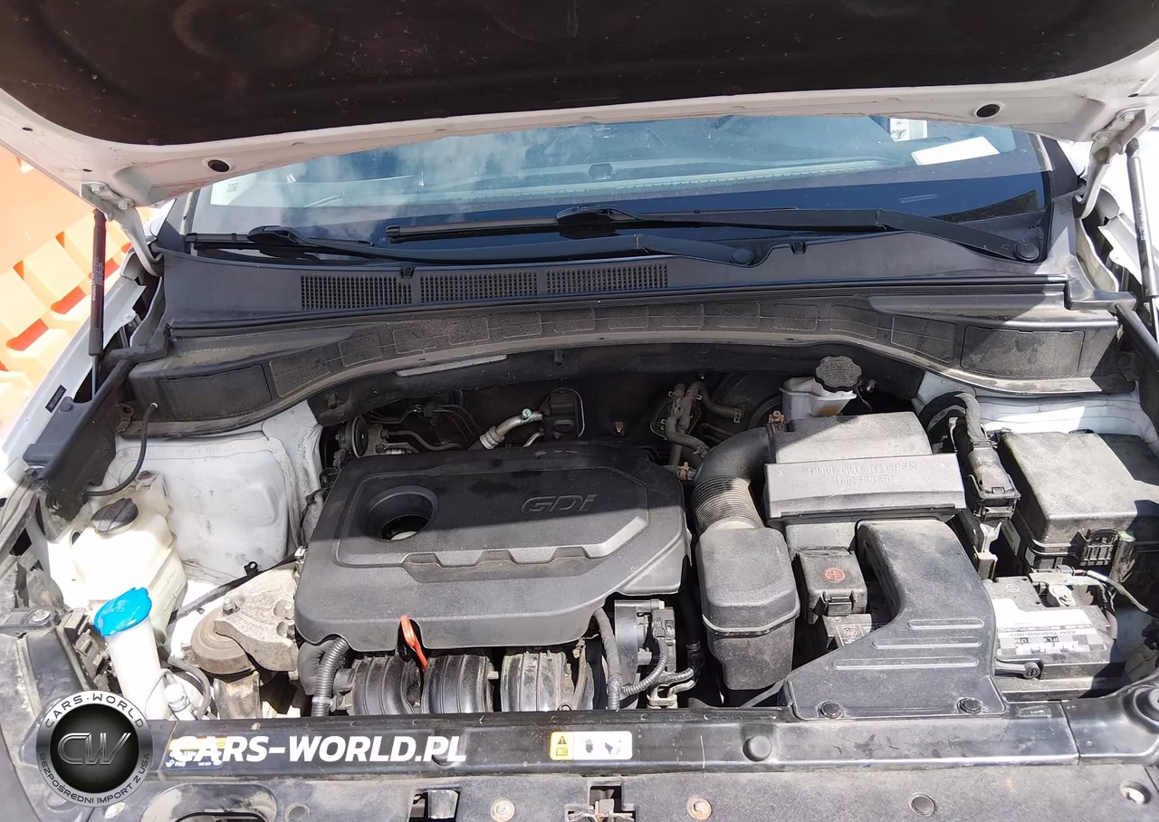 2017 Hyundai Santa Fe Sport 2.4L VIN:5NMZU3LB6HH028200 - 10