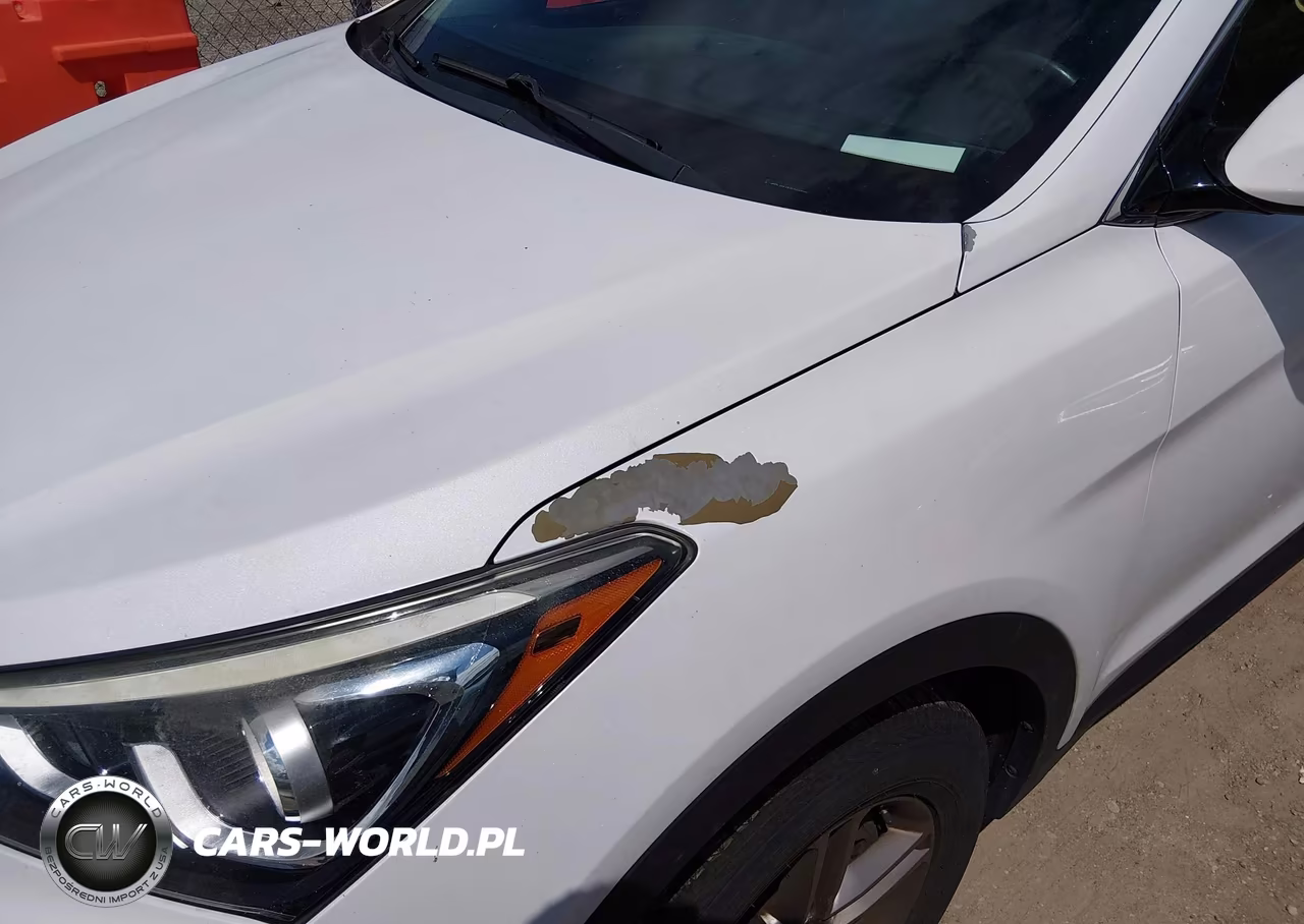 2017 Hyundai Santa Fe Sport 2.4L VIN:5NMZU3LB6HH028200 - 6