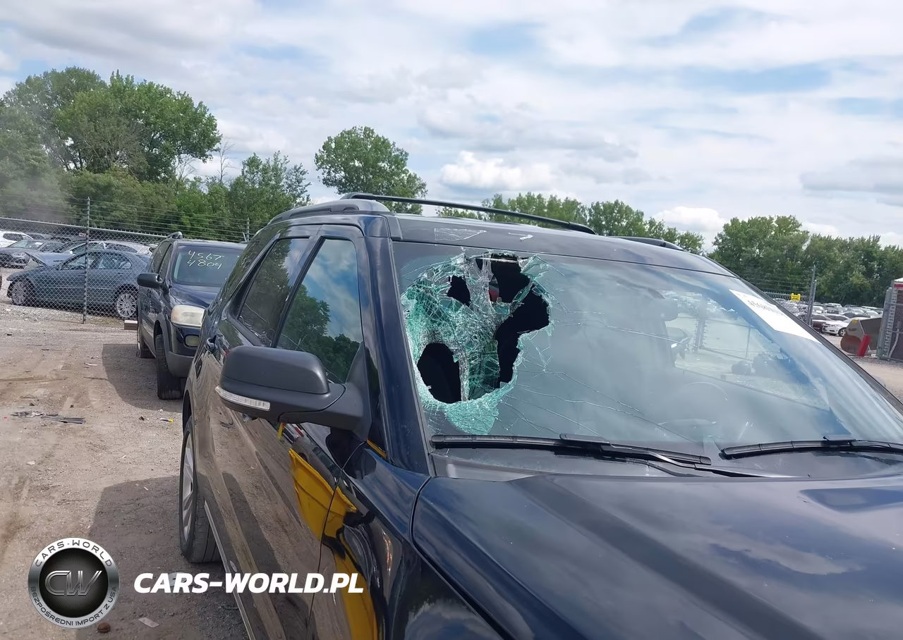 2019 Ford Explorer Xlt VIN:1FM5K8D84KGA06887 - 18