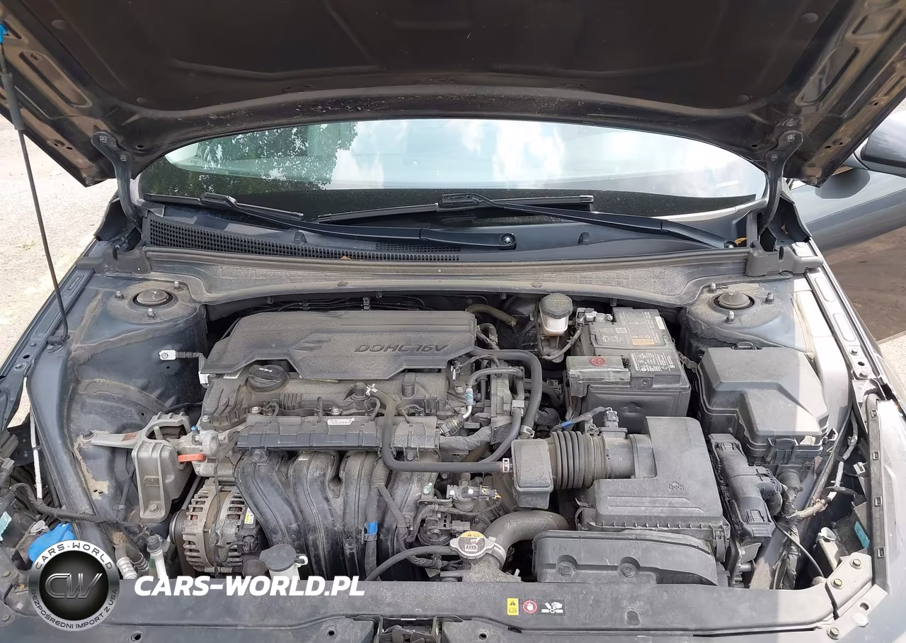 2023 Hyundai Elantra Limited VIN:5NPLP4AG3PH099390 - 10