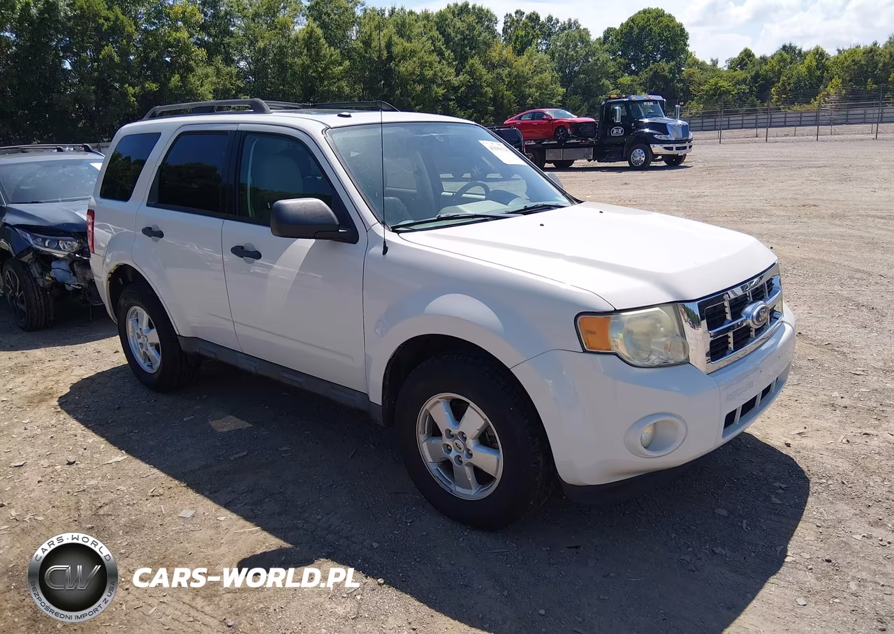 2010 Ford Escape Xlt