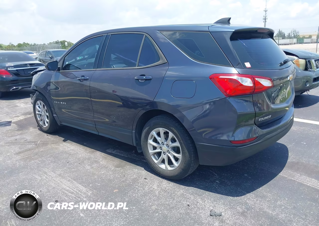 2019 Chevrolet Equinox Ls VIN:3GNAXHEV2KS548877 - 3