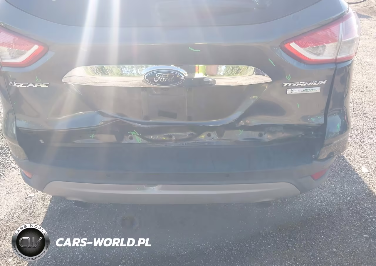 2016 Ford Escape Titanium VIN:1FMCU0J91GUA26393 - 6