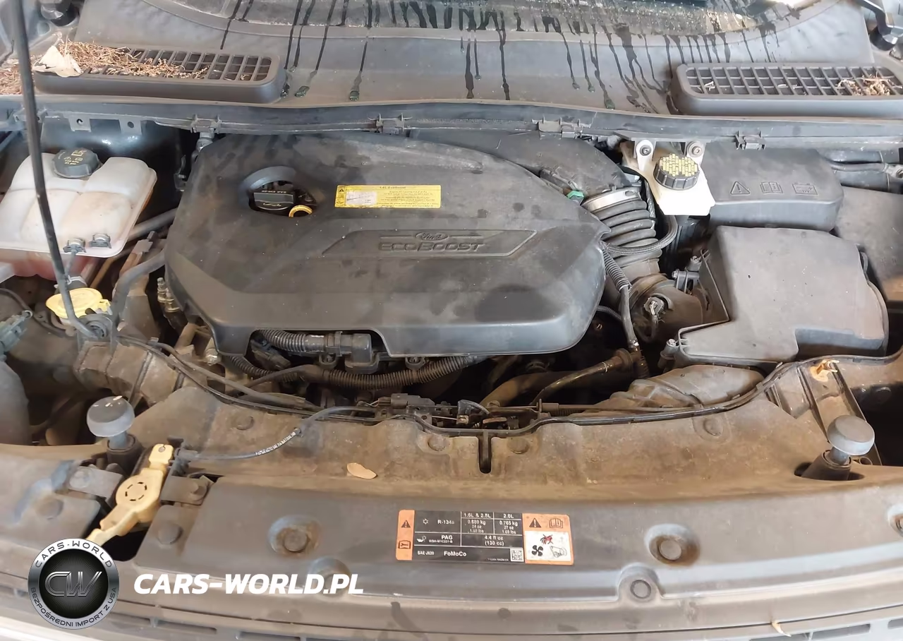 2016 Ford Escape Se VIN:1FMCU9GX4GUA52318 - 10