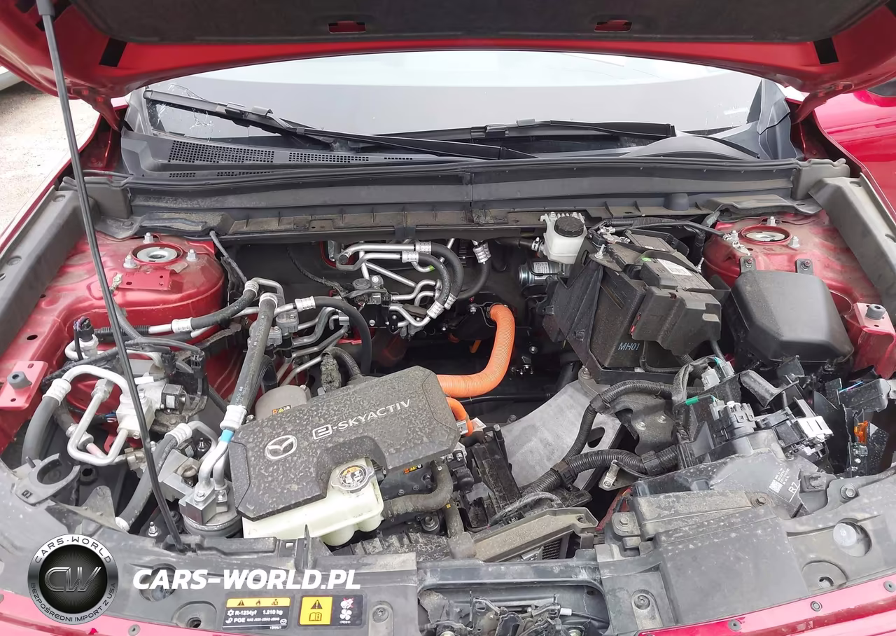 2022 Mazda Mx-30 Ev Premium Plus VIN:JM1DRADB5N0100644 - 10