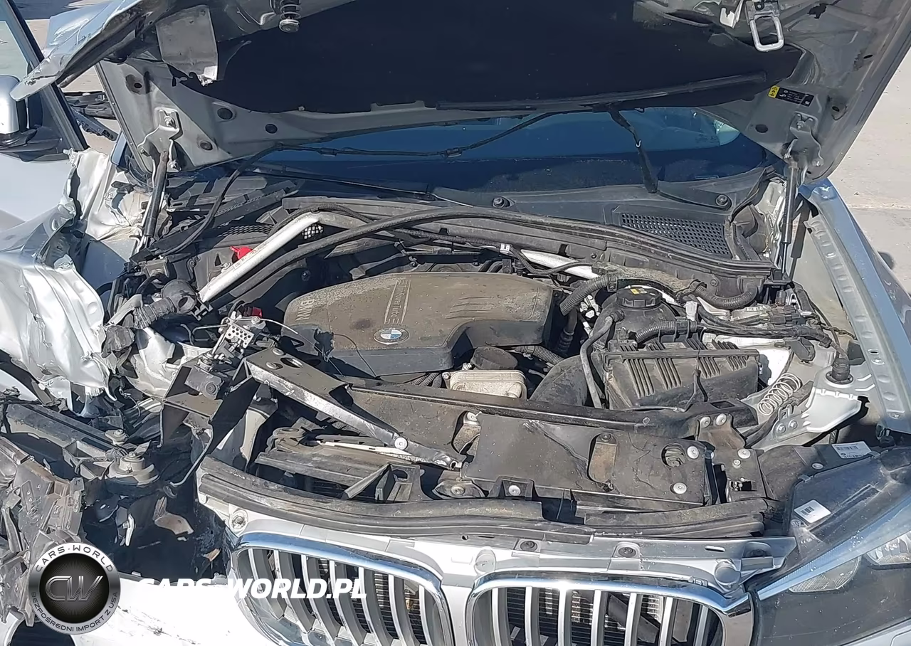 2017 BMW X3 Sdrive28I VIN:5UXWZ7C52H0U46063 - 10