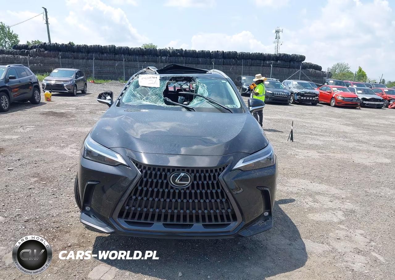 2025 Lexus Nx 350 Premium VIN:2T2GGCEZ2SC094132 - 12