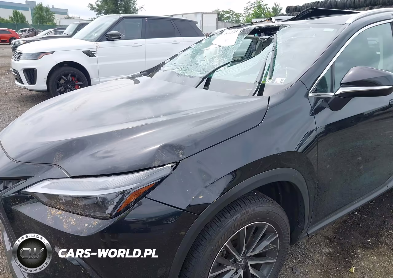 2025 Lexus Nx 350 Premium VIN:2T2GGCEZ2SC094132 - 18
