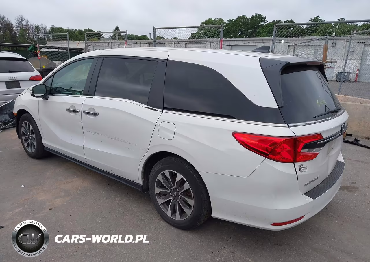 2024 Honda Odyssey Ex-L VIN:5FNRL6H66RB059837 - 3