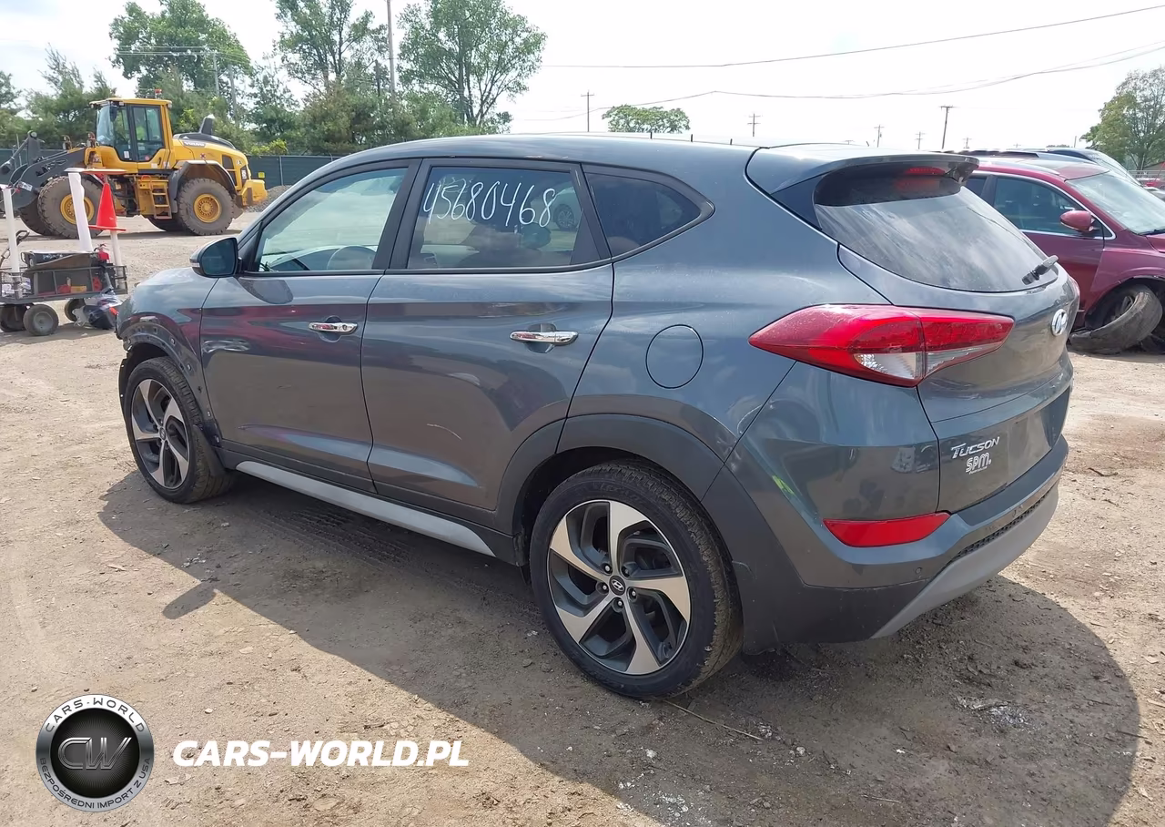 2017 Hyundai Tucson Limited VIN:KM8J3CA22HU372548 - 3