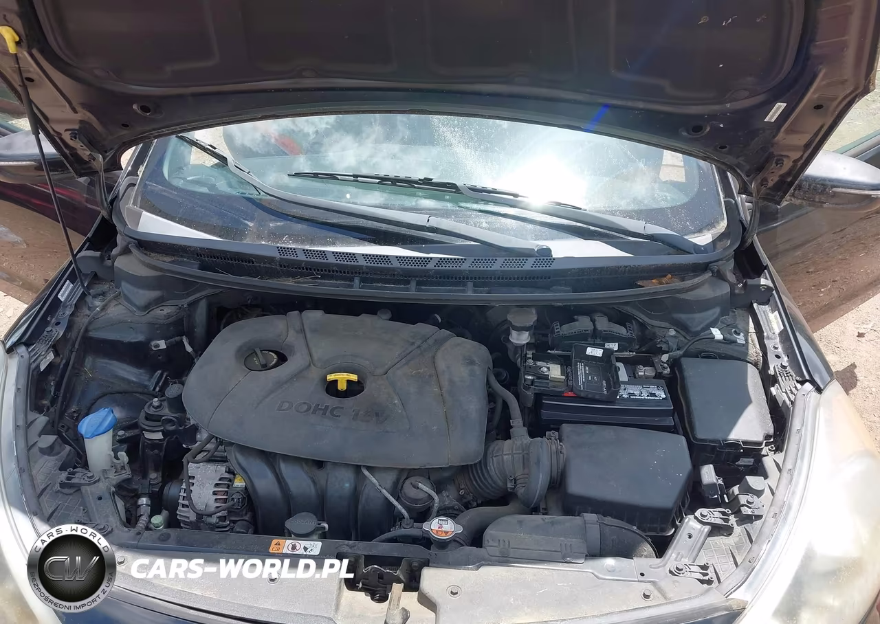 2014 Kia Forte Lx VIN:KNAFX4A69E5205470 - 10