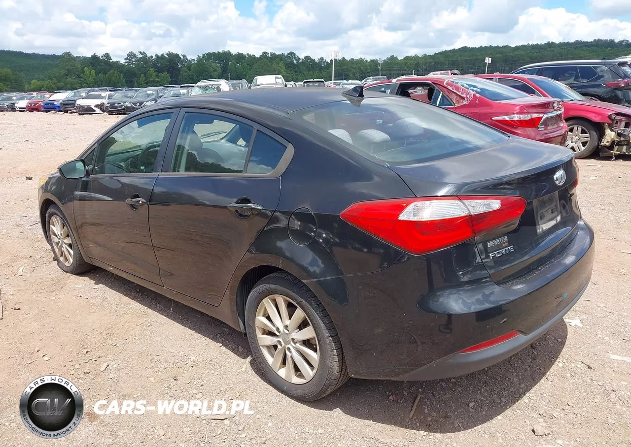 2014 Kia Forte Lx VIN:KNAFX4A69E5205470 - 3