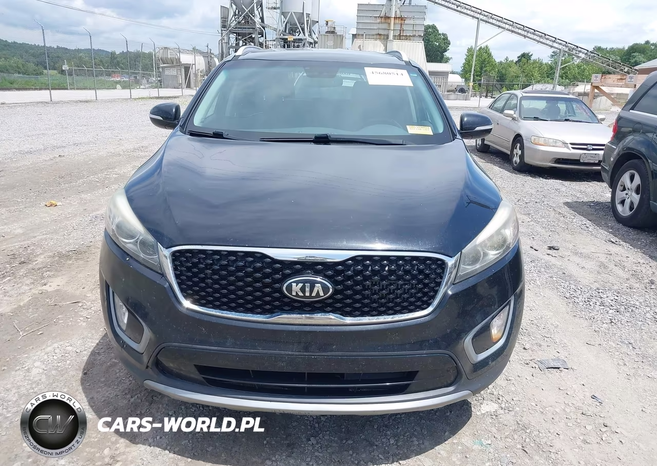 2017 Kia Sorento 2.0T Ex VIN:5XYPHDA12HG278376 - 12
