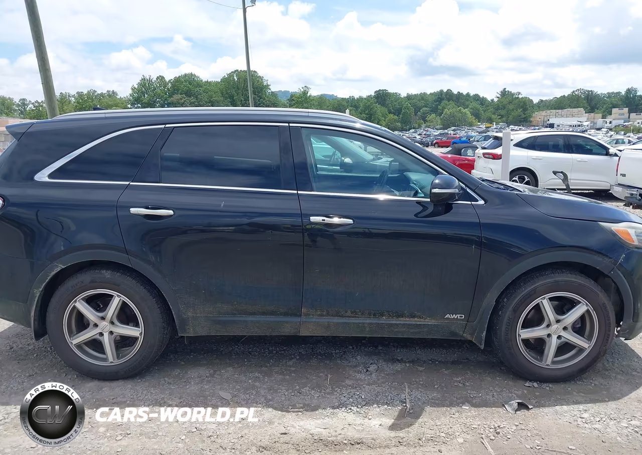 2017 Kia Sorento 2.0T Ex VIN:5XYPHDA12HG278376 - 13