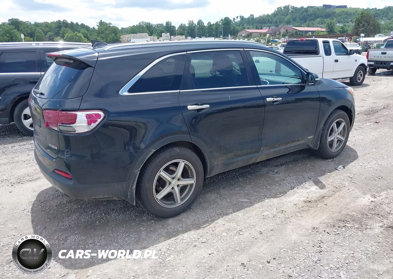 2017 Kia Sorento 2.0T Ex VIN:5XYPHDA12HG278376 - 4