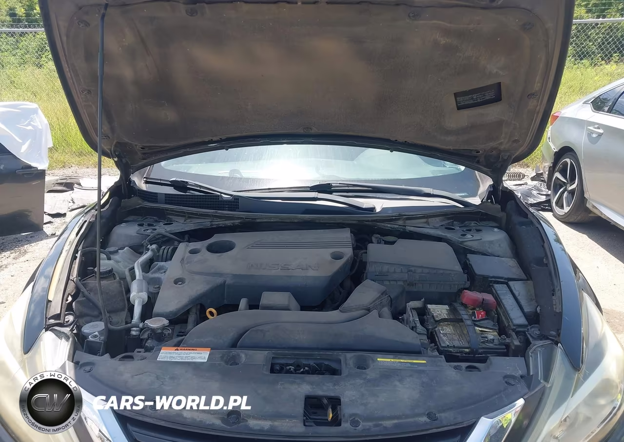 2016 Nissan Altima 2.5 S VIN:1N4AL3AP3GC245138 - 10