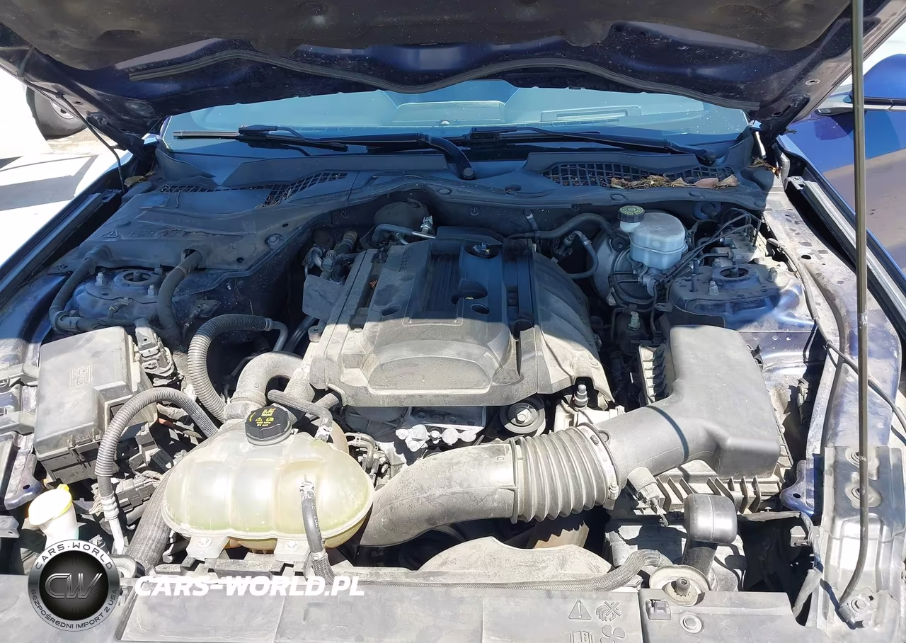 2019 Ford Mustang Ecoboost Premium VIN:1FA6P8TH3K5159581 - 10