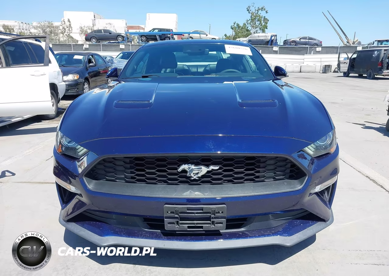 2019 Ford Mustang Ecoboost Premium VIN:1FA6P8TH3K5159581 - 12