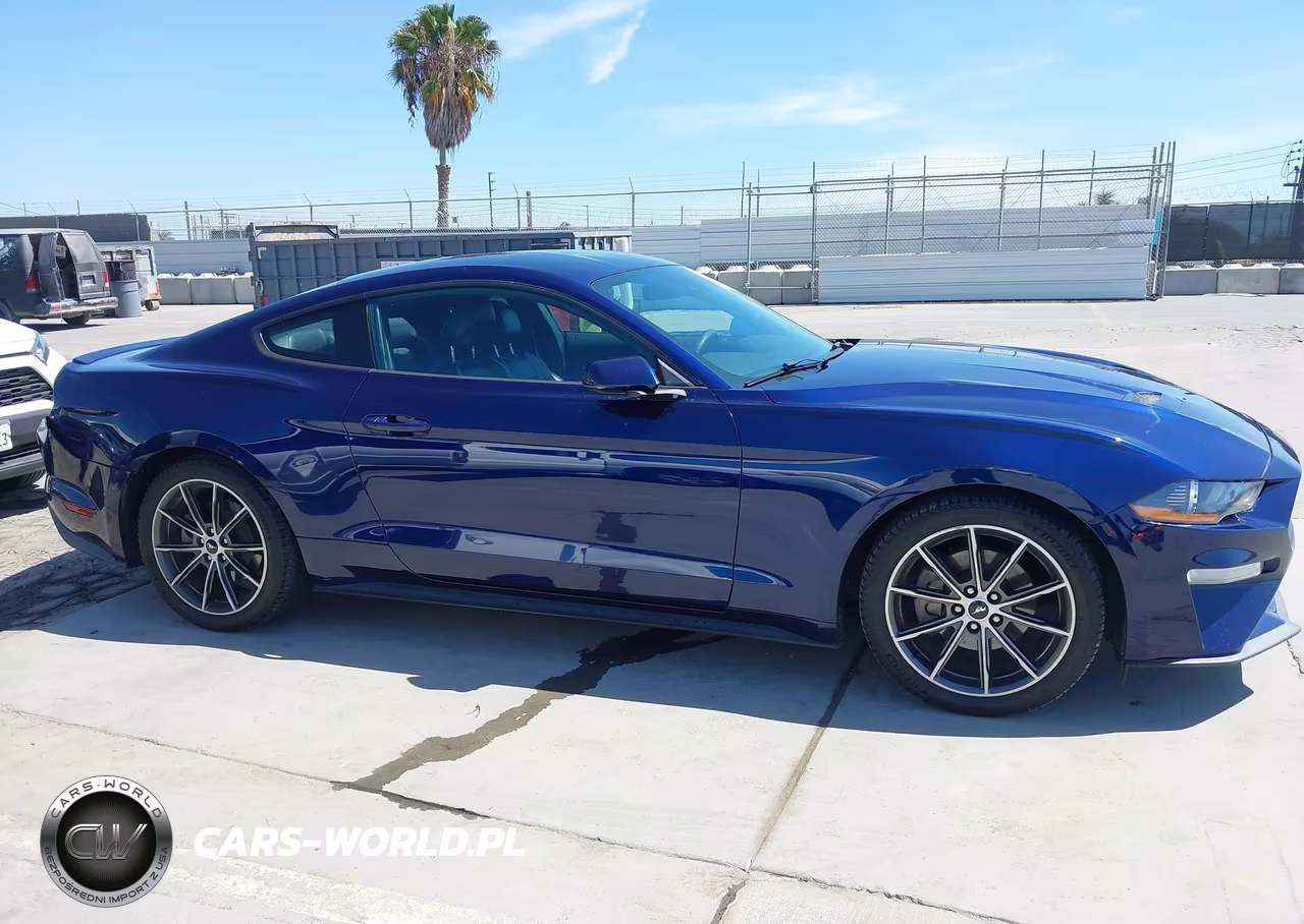 2019 Ford Mustang Ecoboost Premium VIN:1FA6P8TH3K5159581 - 13