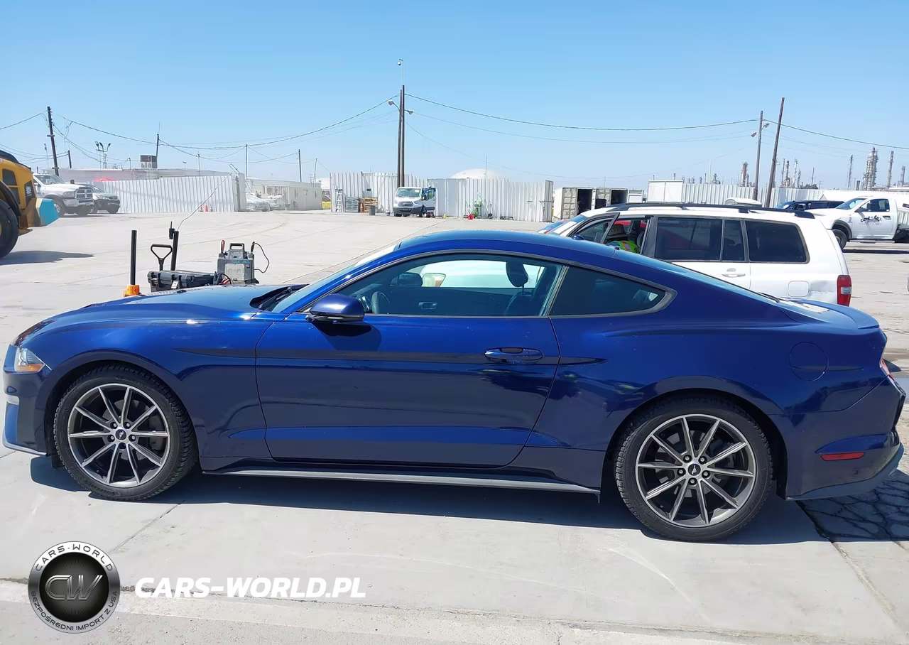 2019 Ford Mustang Ecoboost Premium VIN:1FA6P8TH3K5159581 - 14