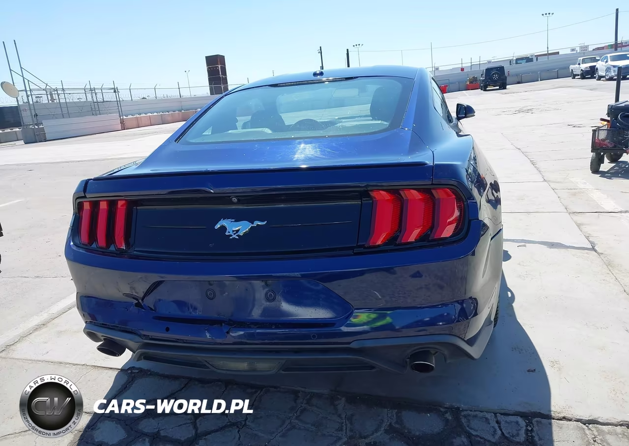 2019 Ford Mustang Ecoboost Premium VIN:1FA6P8TH3K5159581 - 16