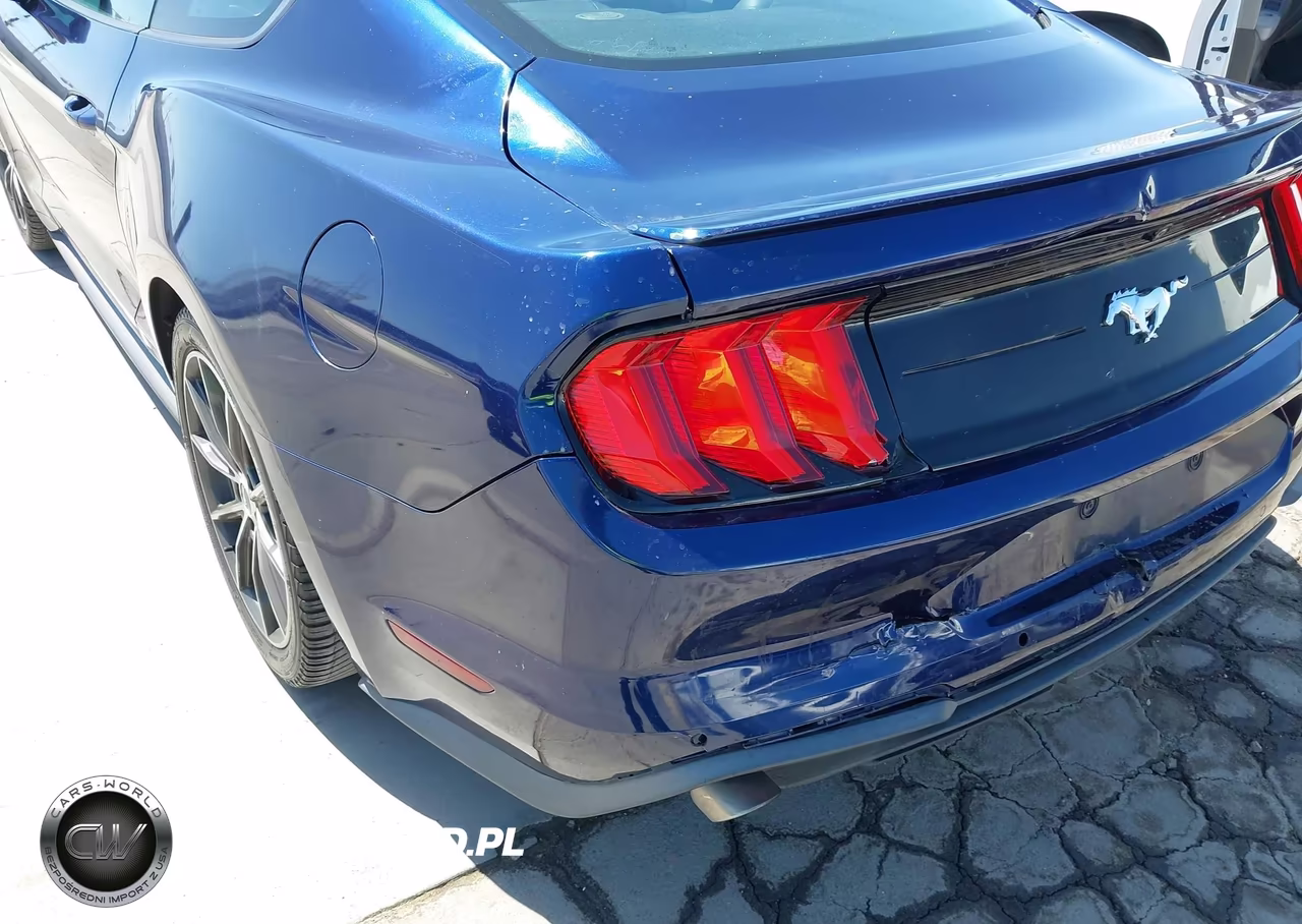2019 Ford Mustang Ecoboost Premium VIN:1FA6P8TH3K5159581 - 17