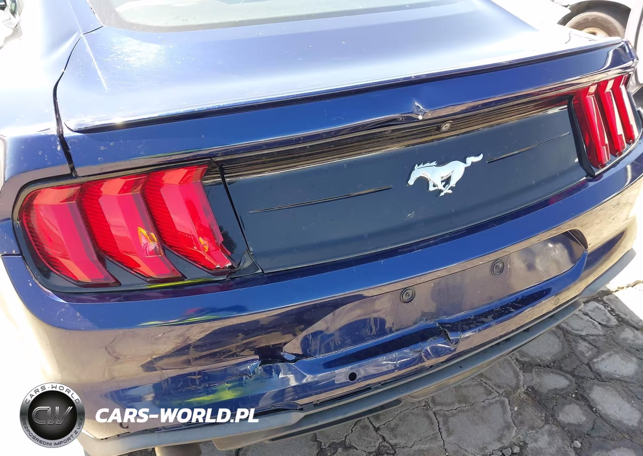 2019 Ford Mustang Ecoboost Premium VIN:1FA6P8TH3K5159581 - 18