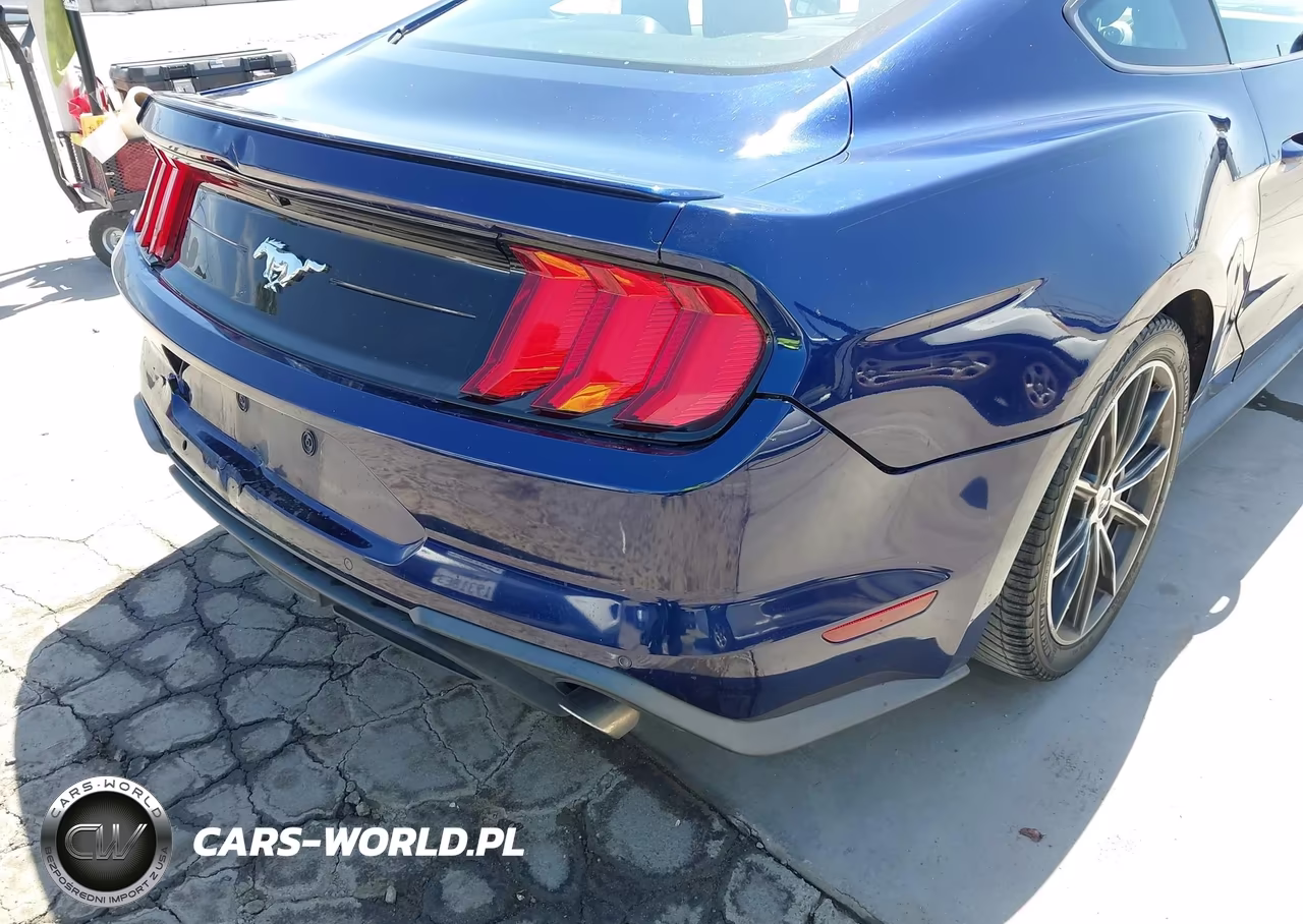 2019 Ford Mustang Ecoboost Premium VIN:1FA6P8TH3K5159581 - 19