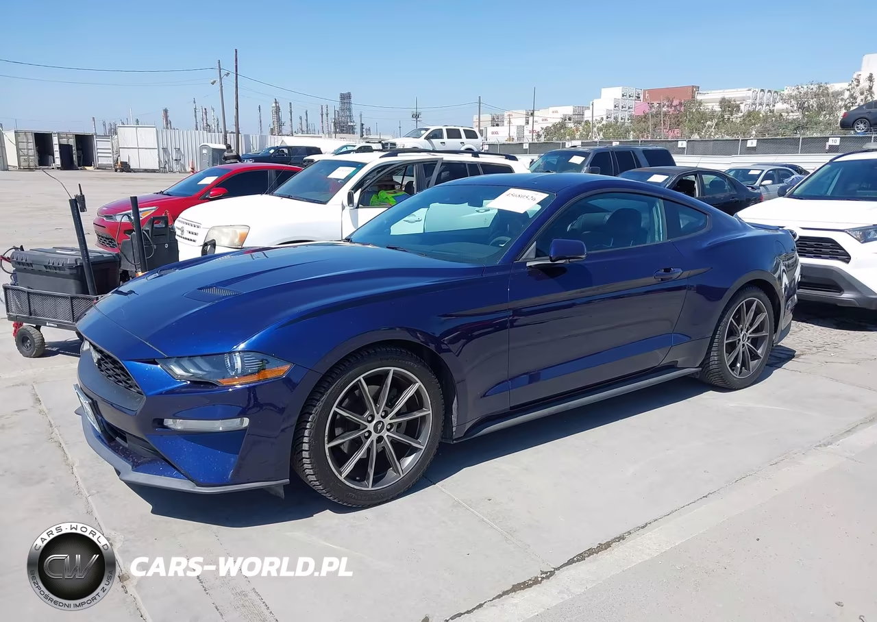 2019 Ford Mustang Ecoboost Premium VIN:1FA6P8TH3K5159581 - 2