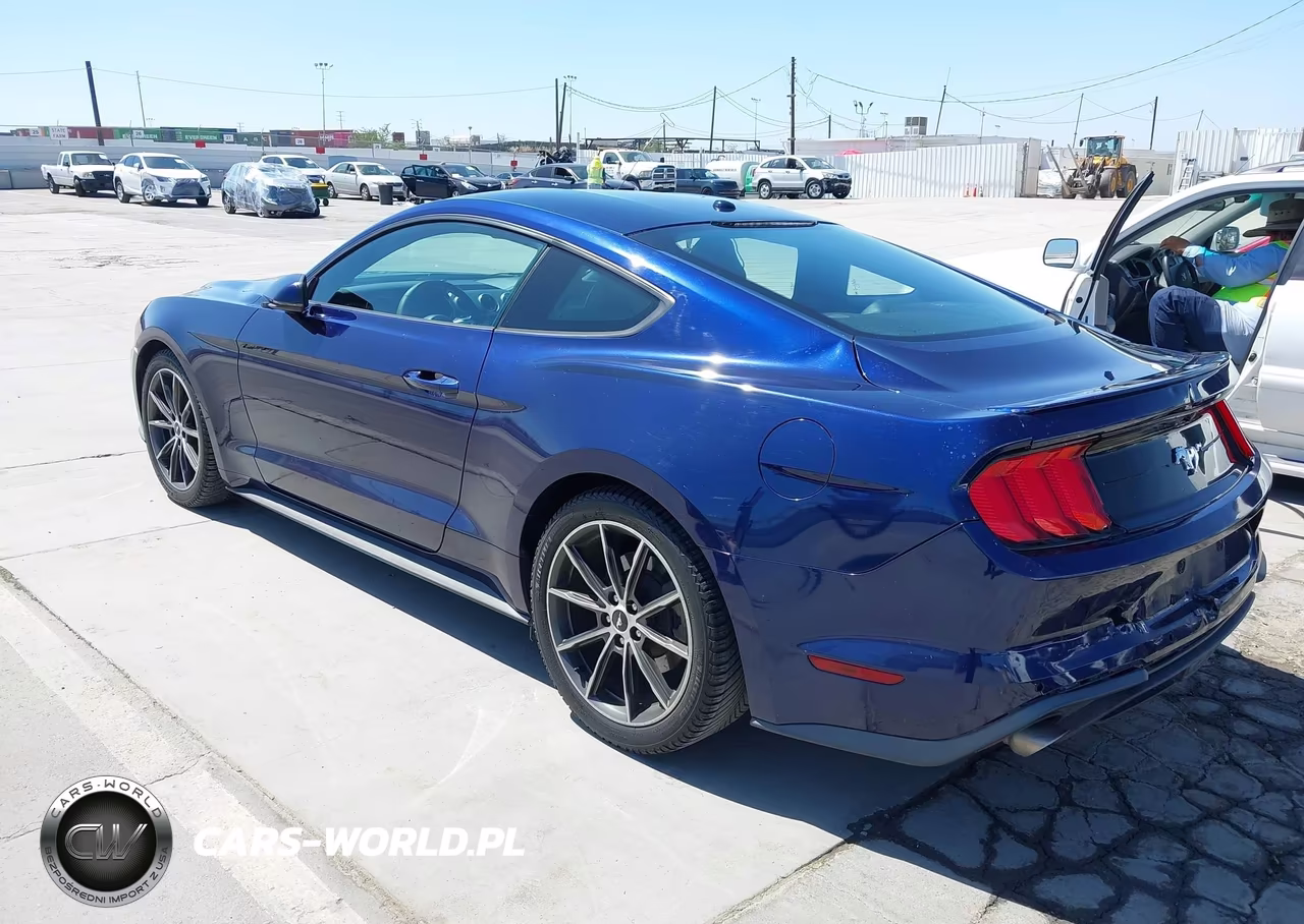 2019 Ford Mustang Ecoboost Premium VIN:1FA6P8TH3K5159581 - 3