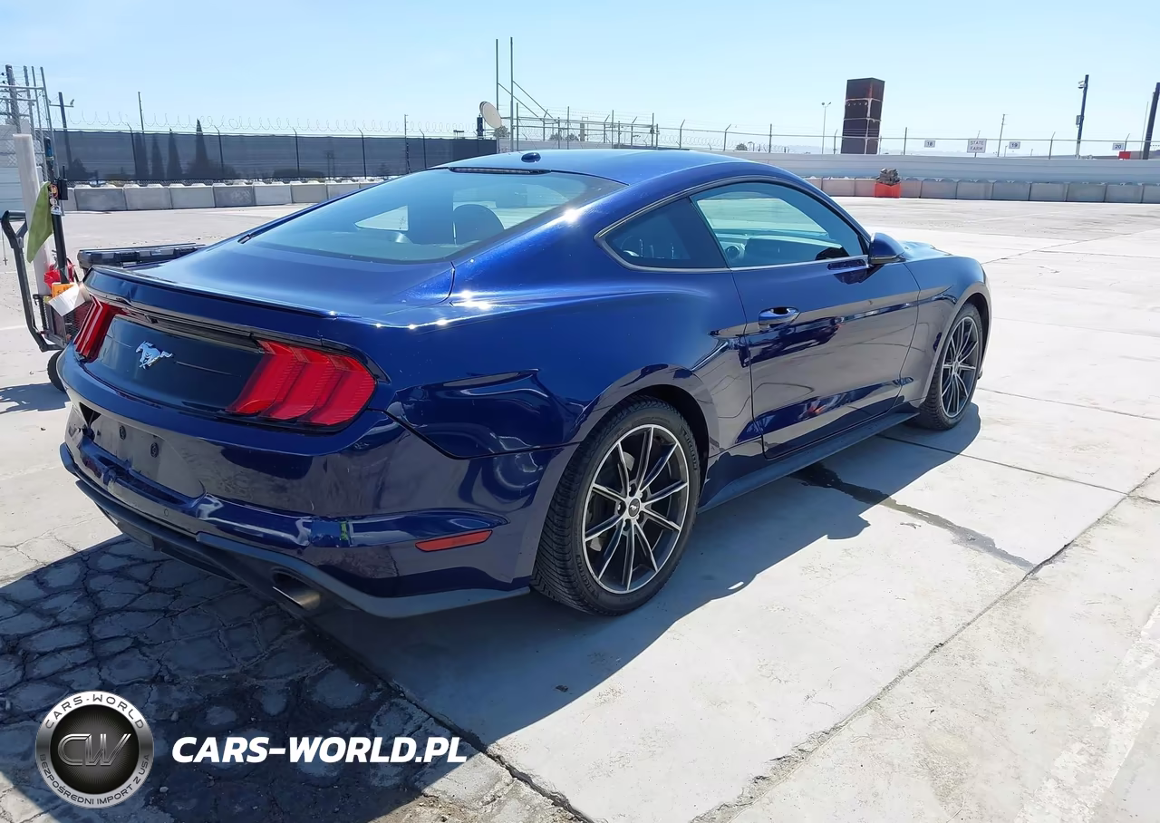 2019 Ford Mustang Ecoboost Premium VIN:1FA6P8TH3K5159581 - 4