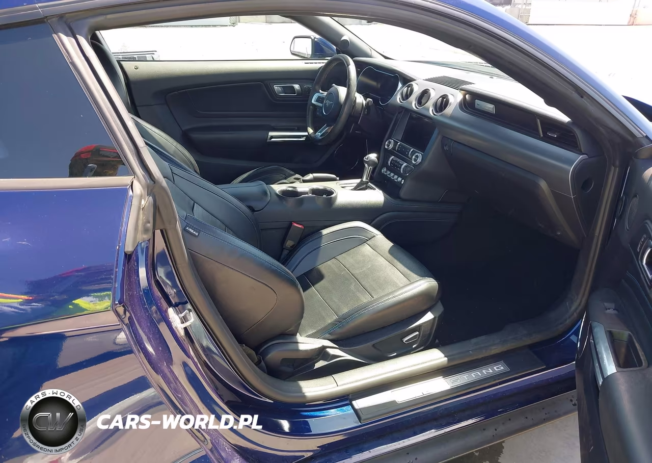 2019 Ford Mustang Ecoboost Premium VIN:1FA6P8TH3K5159581 - 5